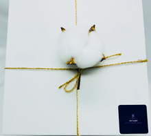 Load image into Gallery viewer, Reptile printed gift cube in arctic with jute twine and cotton blossom sets the tone-