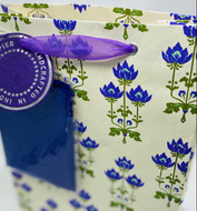 violet & avocado gift bag