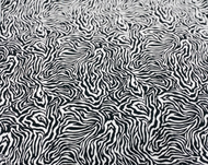 Traditional Zebra