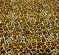 caramel cheeta